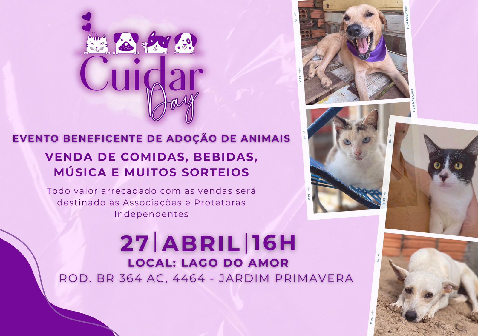 Evento de adoção de animais no Lago do Amor celebra um ano do Projeto Cuidar, idealizado por Jarude